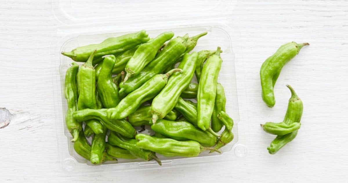 Are Shishito Peppers Healthy?