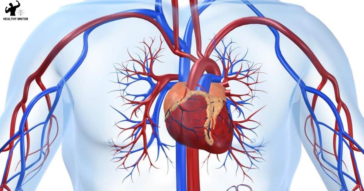 Is Brain Health Related To Heart And Blood Vessel Health?