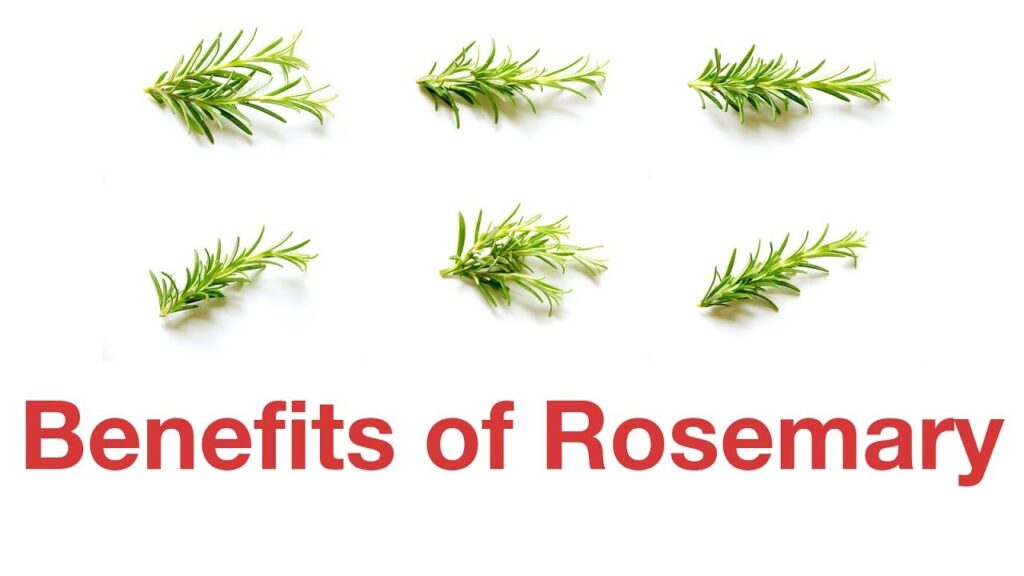 Benefits of Rosemary